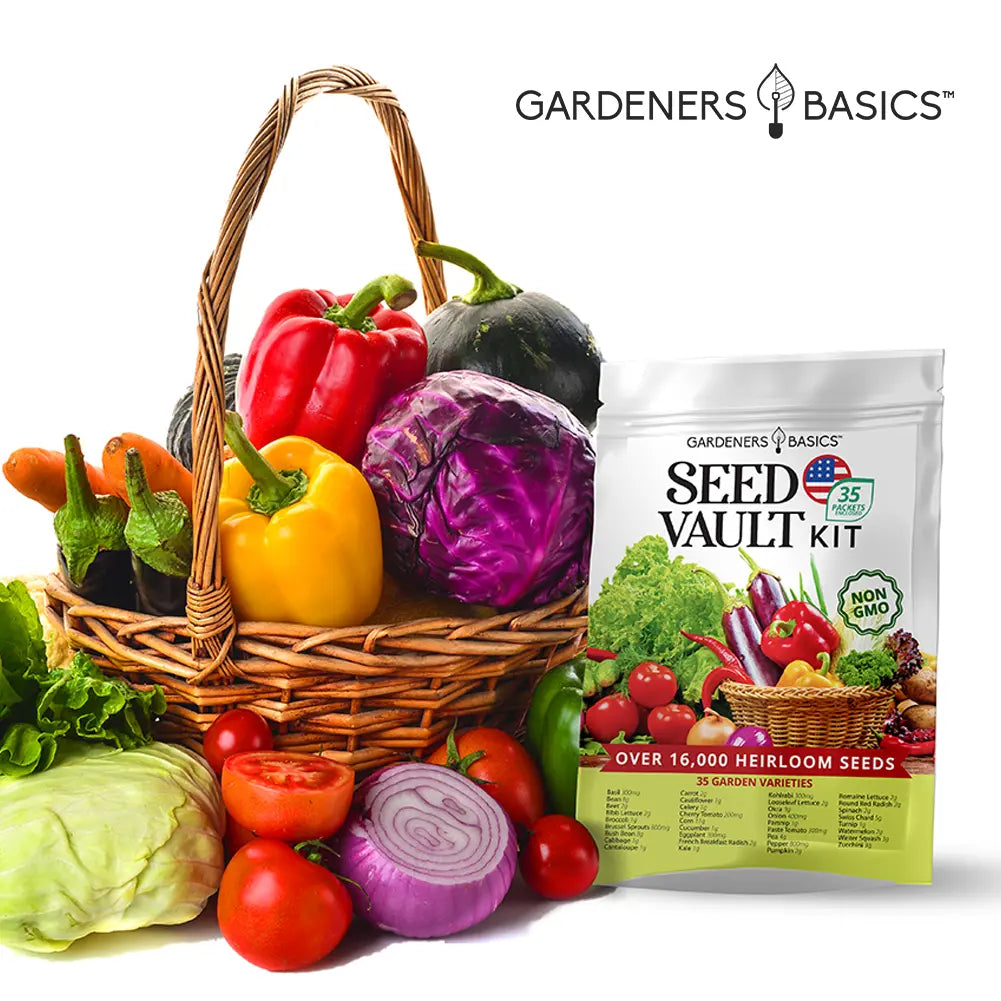 Ultimate Vegetable Seed Vault Kit - 35 Heirloom Varieties for Year-Round Gardening and Emergency Preparedness