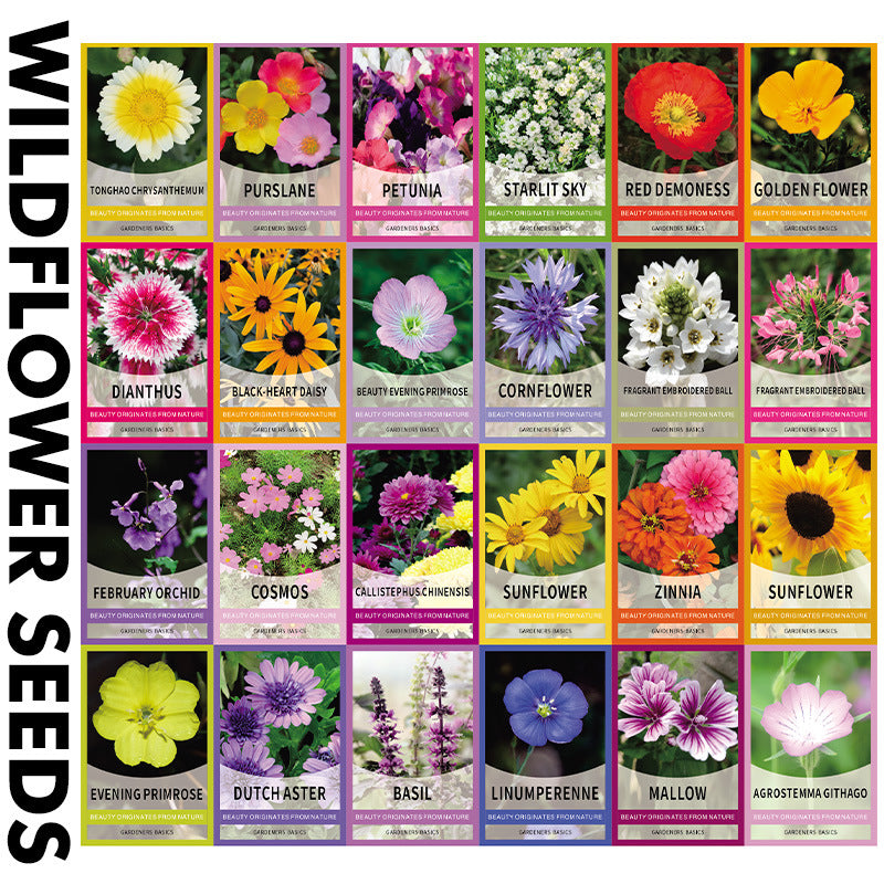 Vegetable Seeds